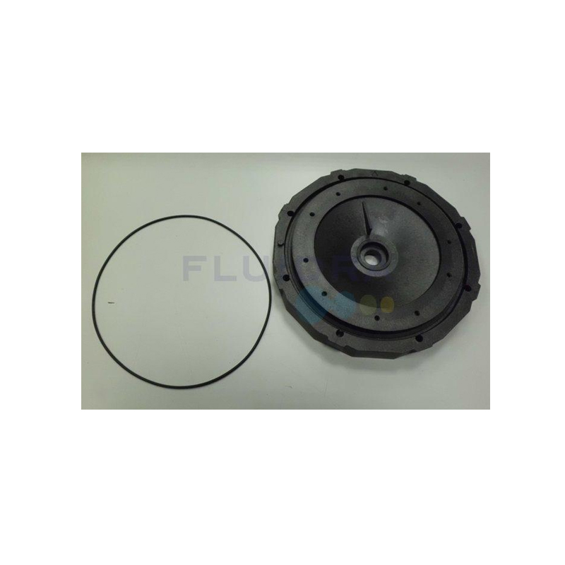 ASTRAL POOL Mechanical Seal Plate No.19 (4405010132)