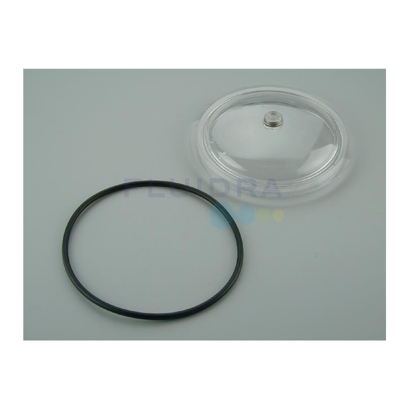 ASTRAL POOL Transparent Lib Gasket No.5 (4404180112)