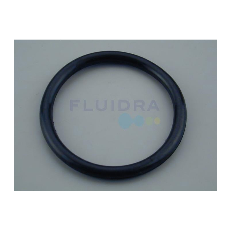 ASTRAL POOL O-Ring for Light 300W. (4403010304)