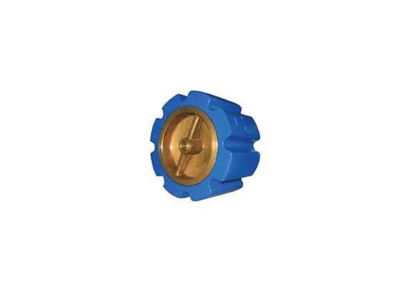 TOZEN Cast Iron Silent Check Valve (Wafer Type) รุ่น CSCV-WA