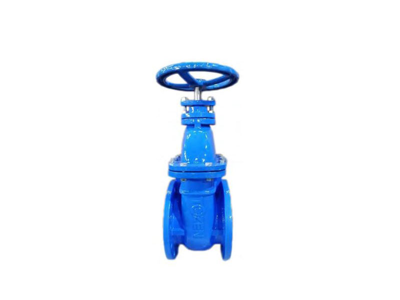 TOZEN Iron Gate Valve รุ่น IGV-D