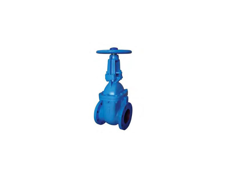 TOZEN Cast Iron Rising Stem Gate Valve รุ่น R-CGV-A