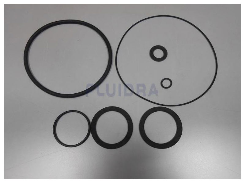 ASTRAL POOL Seal Pump Victroria 3 Hp. (4405010104)