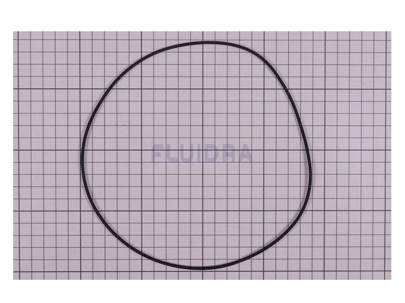 ASTRAL POOL  Motor Clamp Gasket NO.17 (4405010160)