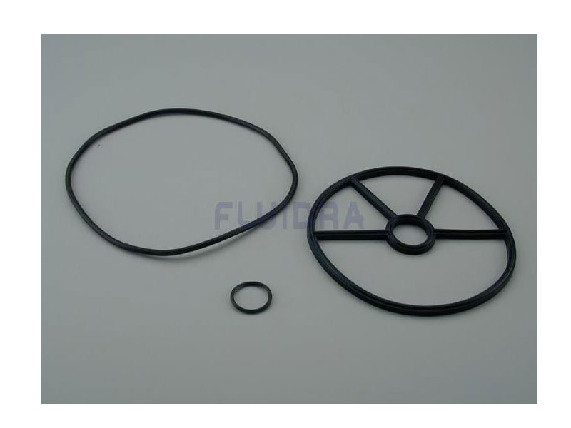 ASTRAL POOL Gasket 2-1/2