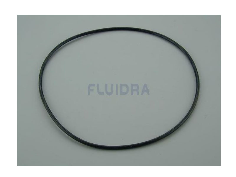 ASTRAL POOL O-Ring D 225x4 NO.6 (4404020116)