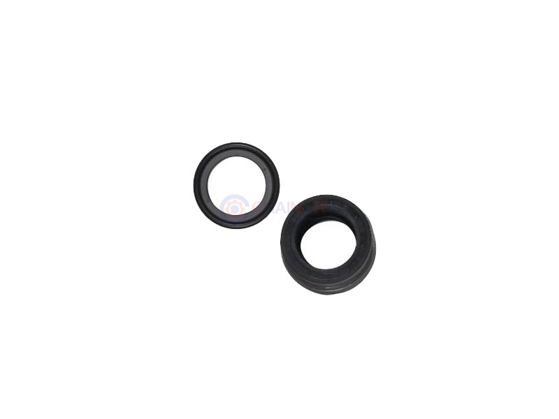 GRUNDFOS Spare Shaft Seal eMG BAQE GG D28 (96488302)