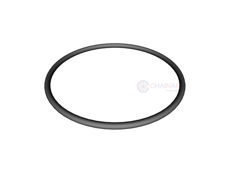 HAYWARD Strainer Cover O-Ring ซีลฝา (SPX3000S)