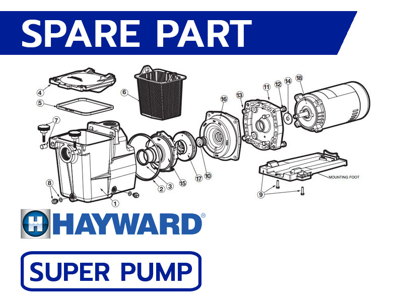 อะไหล่ปั๊มสระว่ายน้ำ HAYWARD Super Pump