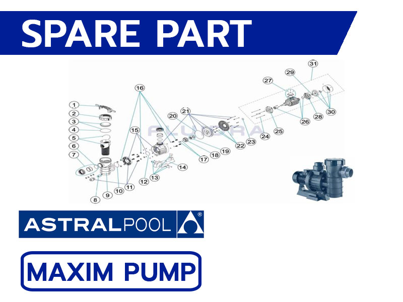 อะไหล่ปั๊มสระว่ายน้ำ ASTRAL POOL Maxim Pump