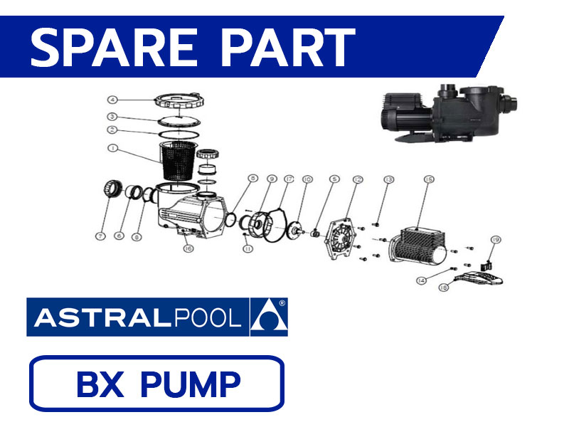 อะไหล่ปั๊มสระว่ายน้ำ ASTRAL POOL BX Pump