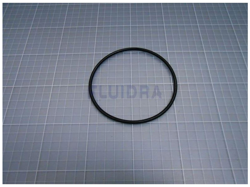 ASTRAL POOL O' RING D 100X4 (4405010376)