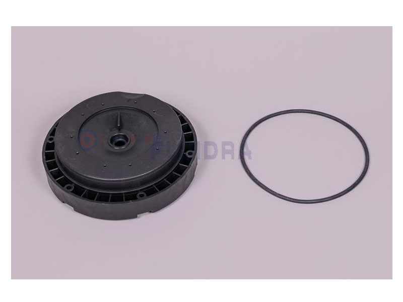 ASTRAL POOL Mechanical Seal Plate (4405010603)